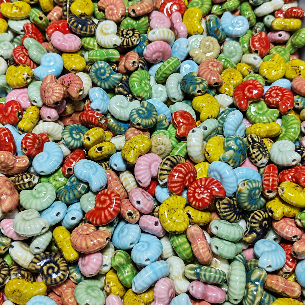 Colorful Fossil Shells-150ml
