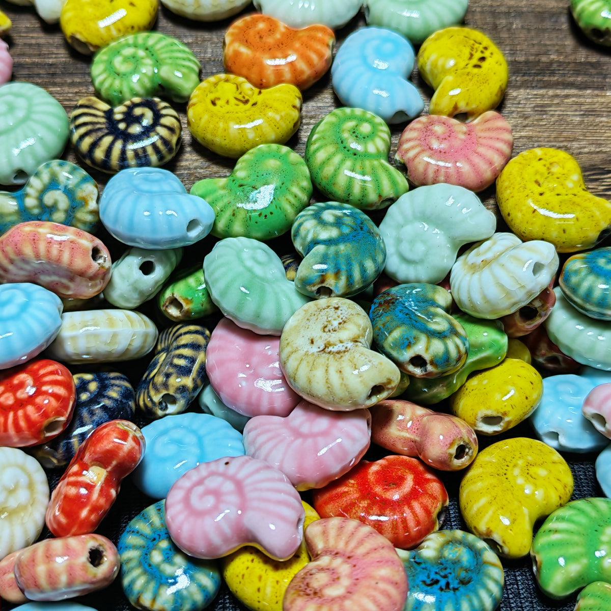 Colorful Fossil Shells-150ml
